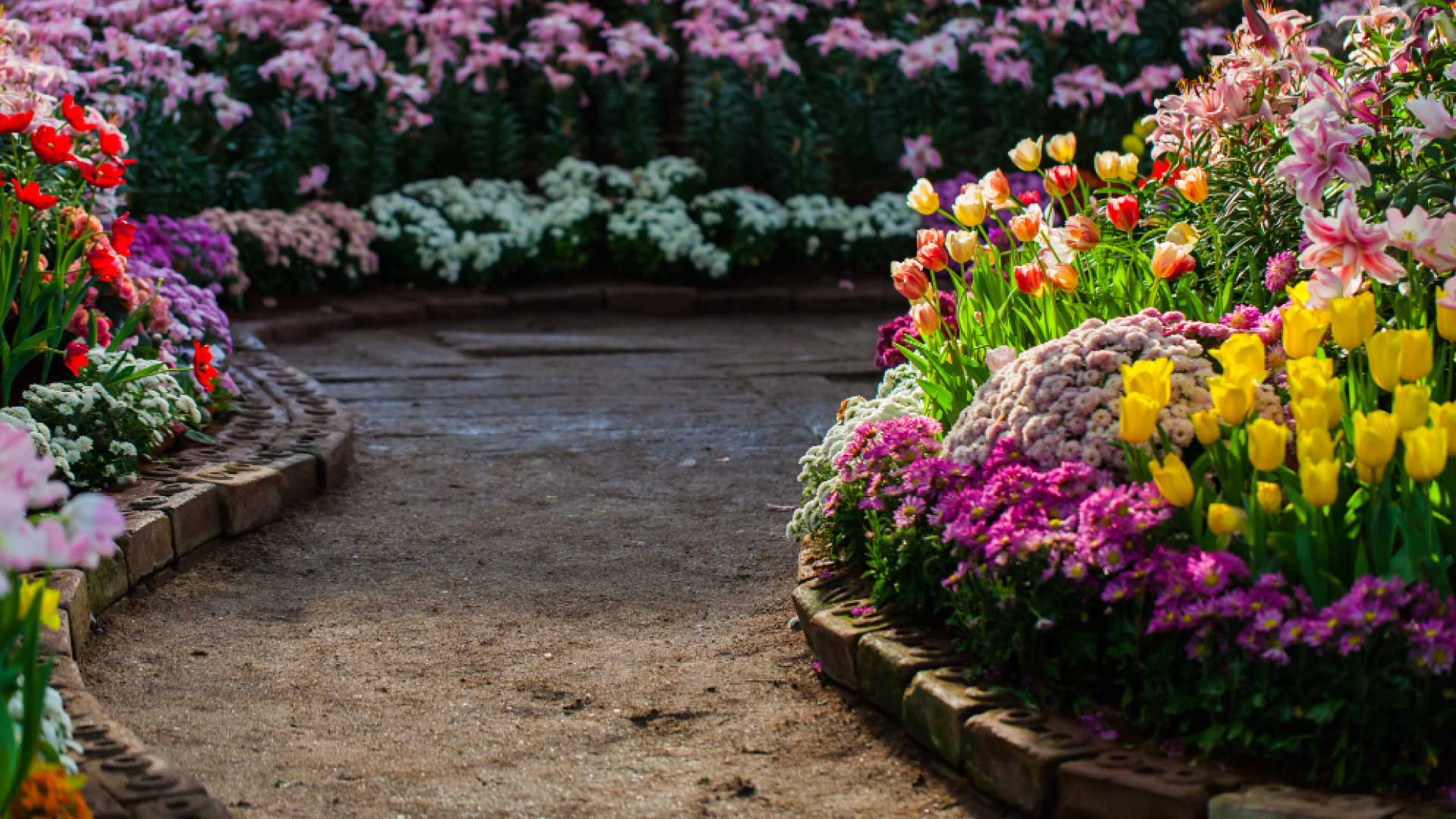 Cost Of Gardening And Landscaping Services In UAE Cost Of Gardening And Landscaping Services In UAE