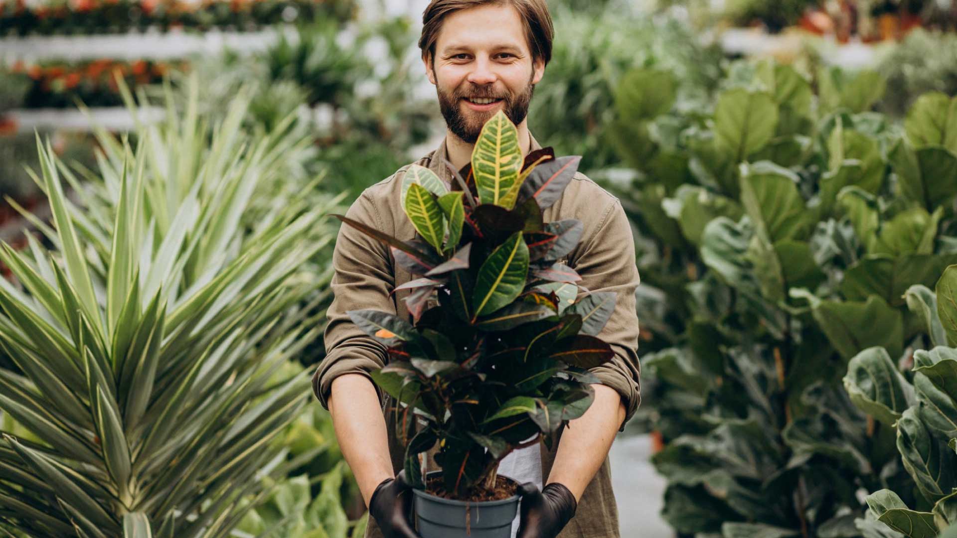 Gardening And Landscaping For Specific Purposes Gardening And Landscaping For Specific Purposes