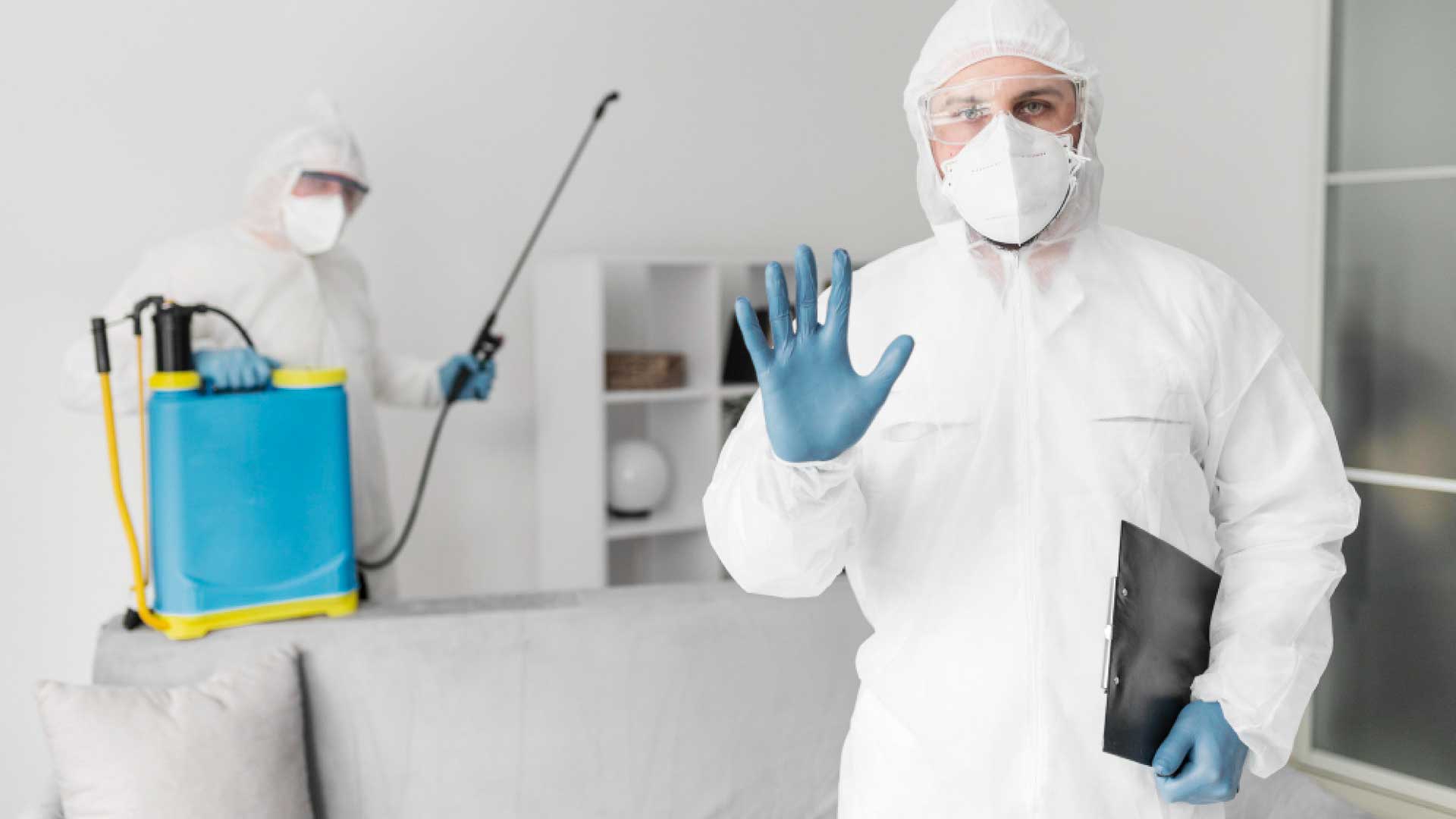 Cost Pest Control Services In 2023: How To Save Money And Protect Your Home From Pests Cost Pest Control Services In 2023: How To Save Money And Protect Your Home From Pests